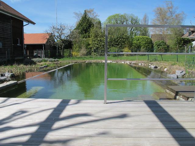 Piscine naturelle et aménagement paysager Gy - Genève