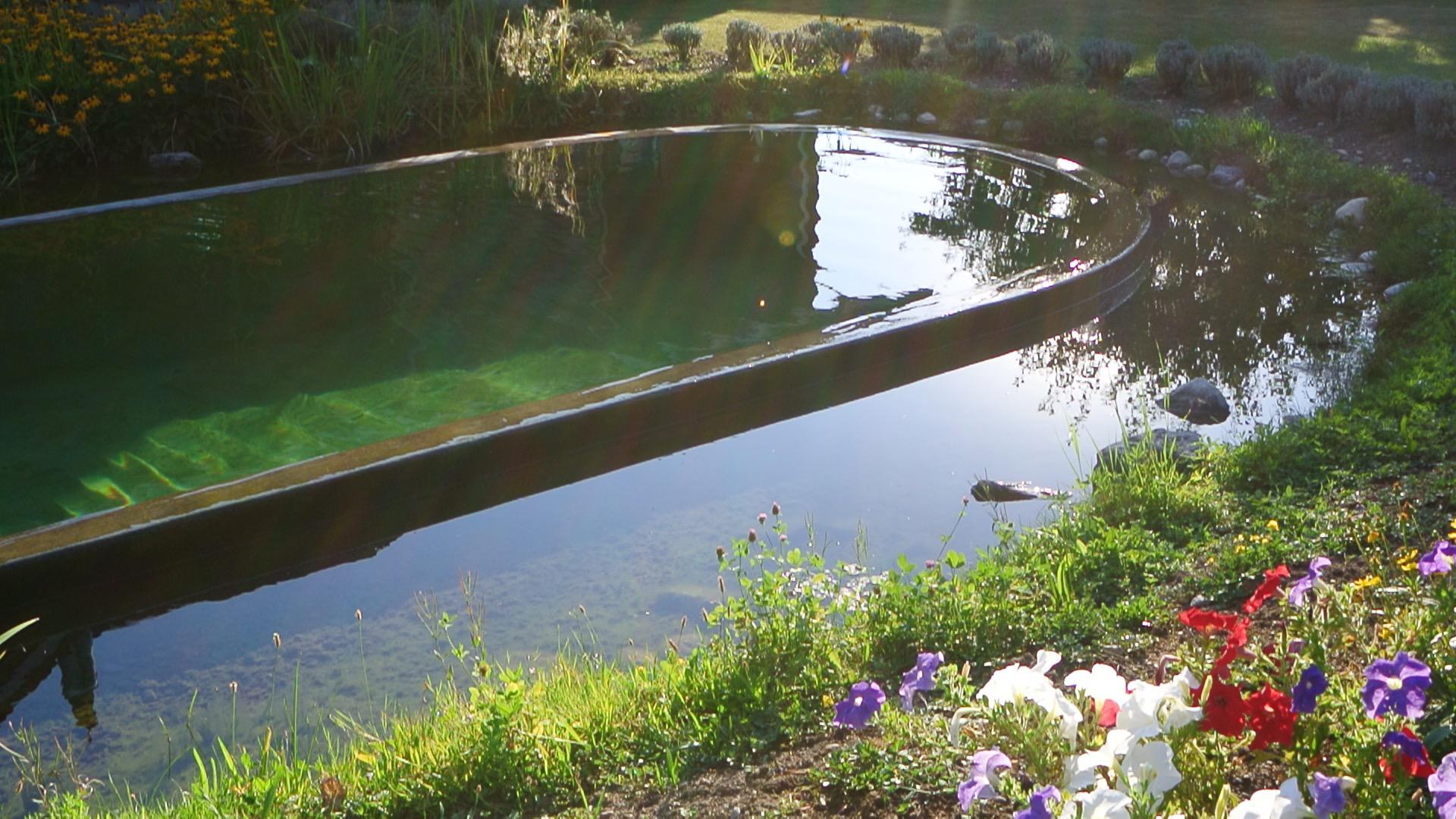 Piscine naturelle et aménagement paysager Gy - Genève